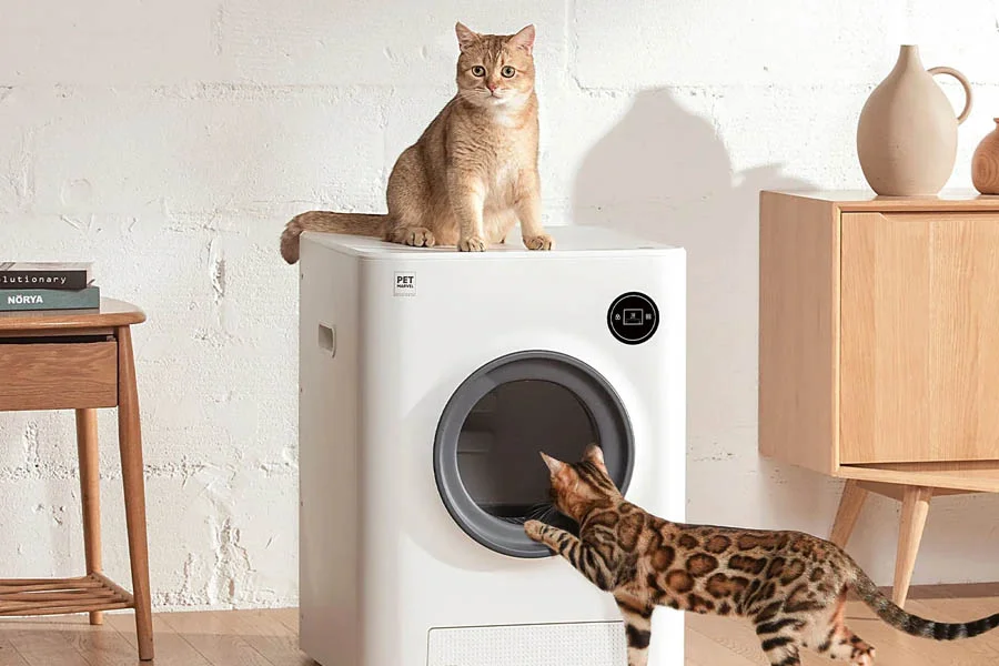 toilet for cats